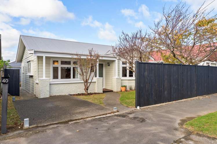 40 Palm Avenue Lyall Bay_10