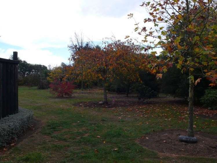 782 Miles Road Kirwee_18