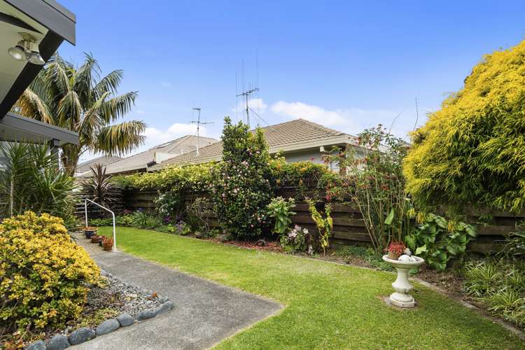 67a Edgecumbe Road Tauranga Central_9