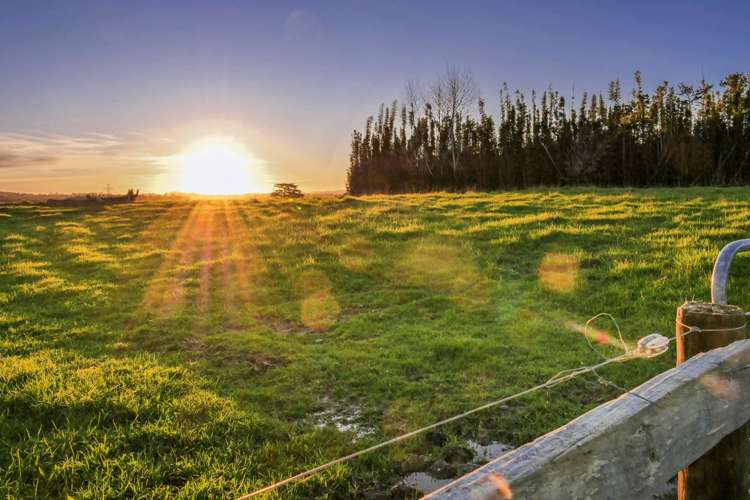 231 Nixon Road Taupaki_2