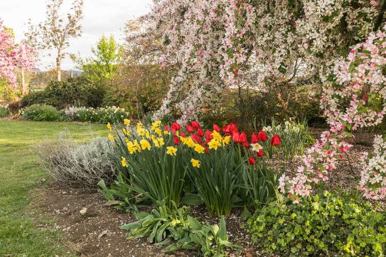 431 Riverbank Road Wanaka_17