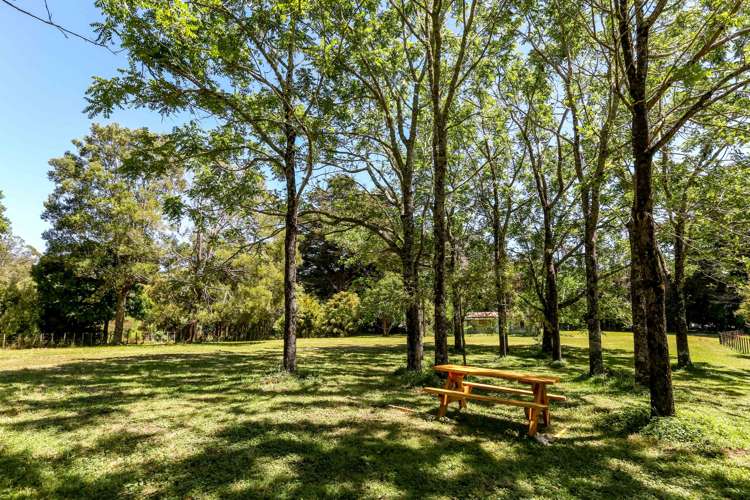 248 Surrey Hill Road Kaitake_17