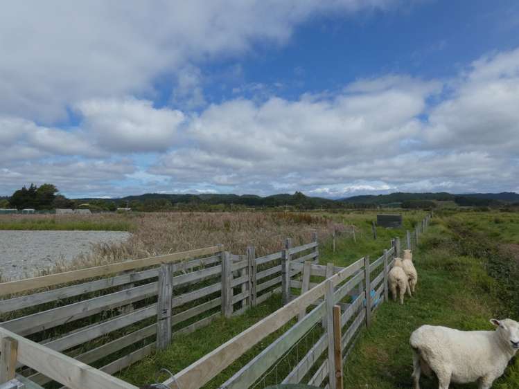 Havill Drive Hokitika_3