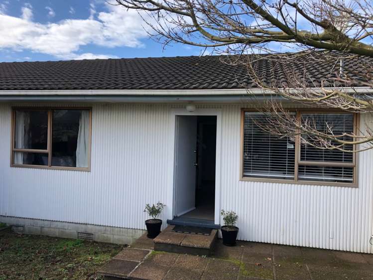 4B Collie Road Pukekohe_13