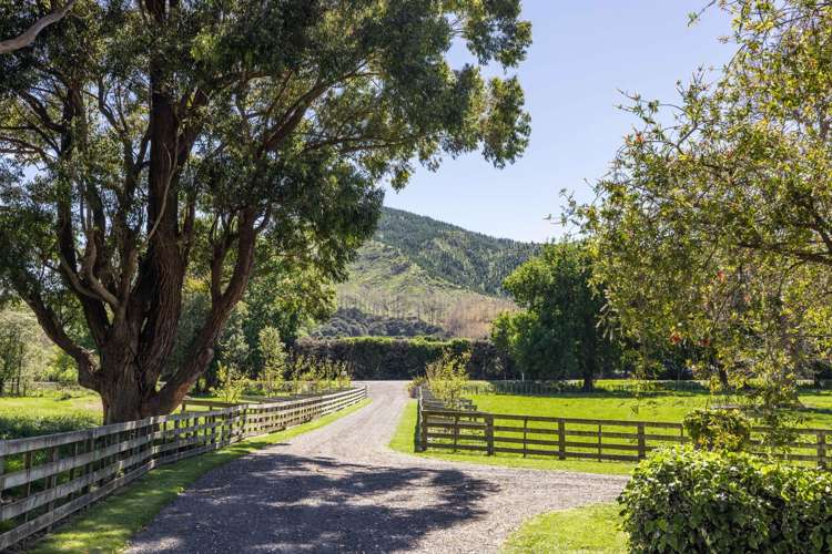 577 State Highway 5 Eskdale_18