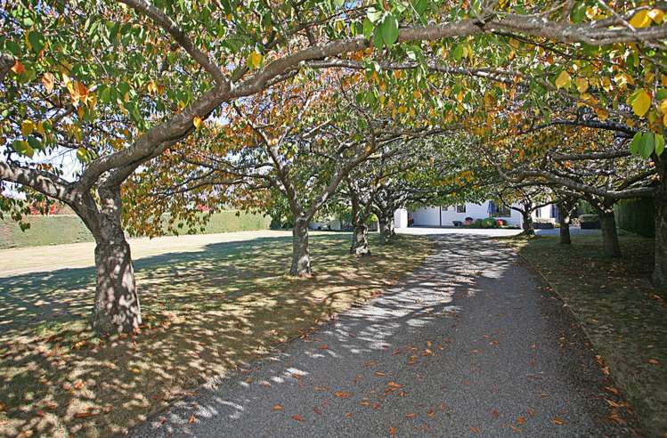 29 Westview Crescent West Melton_28