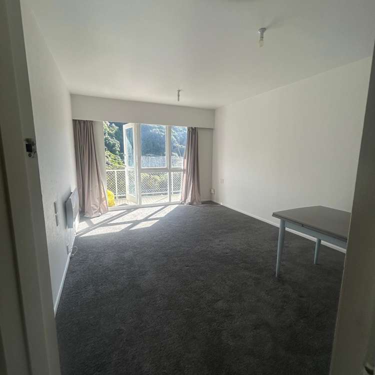 8/29 Waiapu Road Kelburn_9