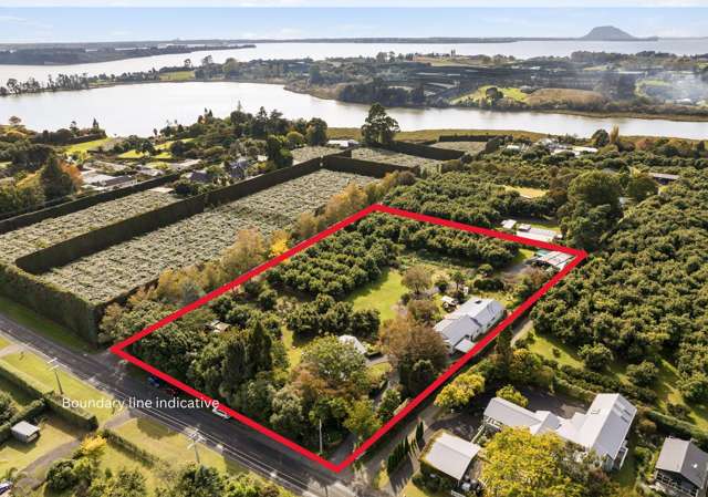 322 Snodgrass Road Te Puna_4