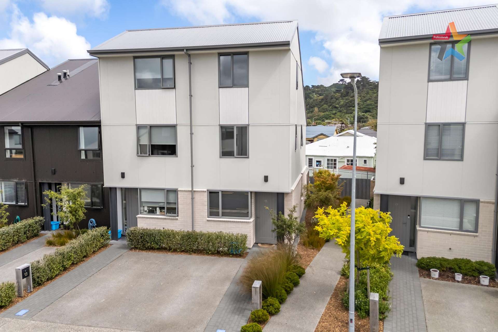 15 Te Ara O Te Amo Hohipene Petone_0