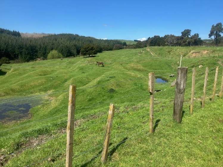 507 Otope Road Dannevirke_19