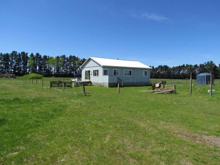 1573 Tikokino Road Tikokino_3