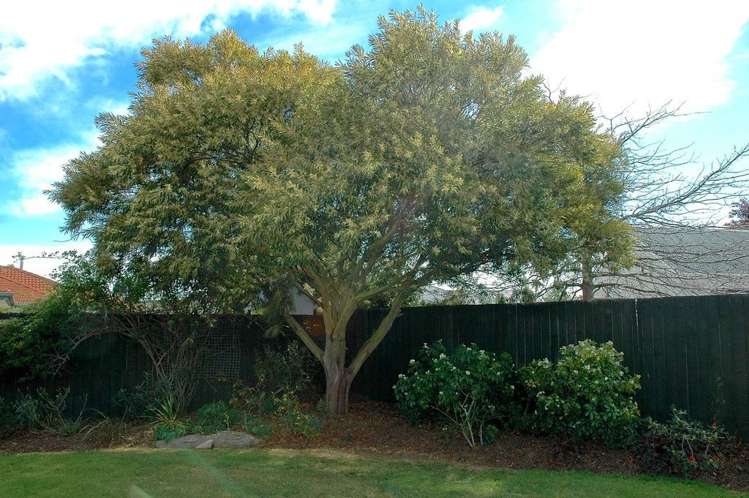 24 Rowse Street Rangiora_17