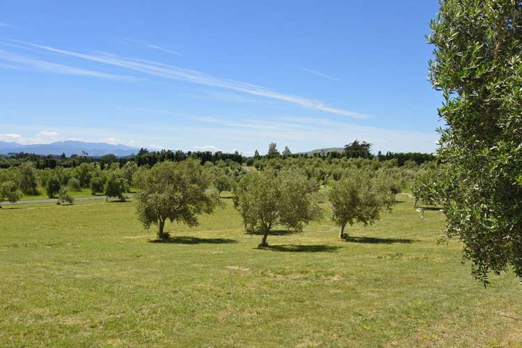 142b Dublin Street Martinborough_15