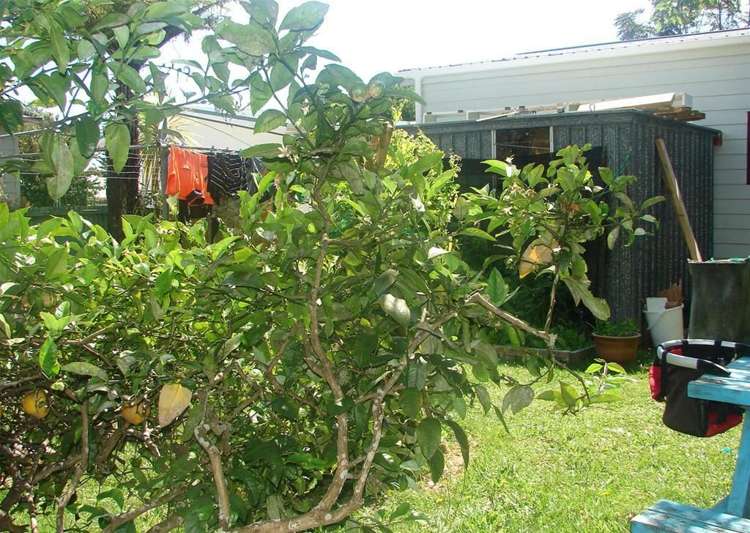 15 Kauri Place Tairua_8