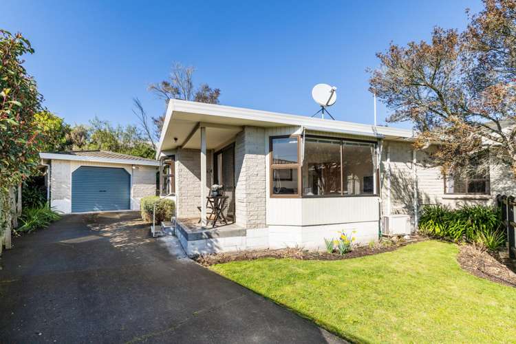 2/46 Campbell Street Havelock North_15