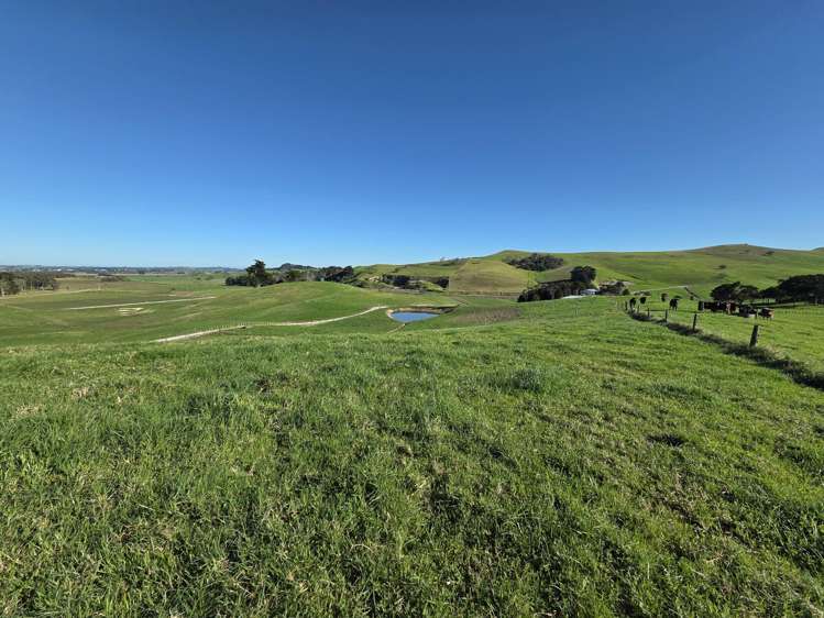Lot 7 Mititai Road Dargaville_7
