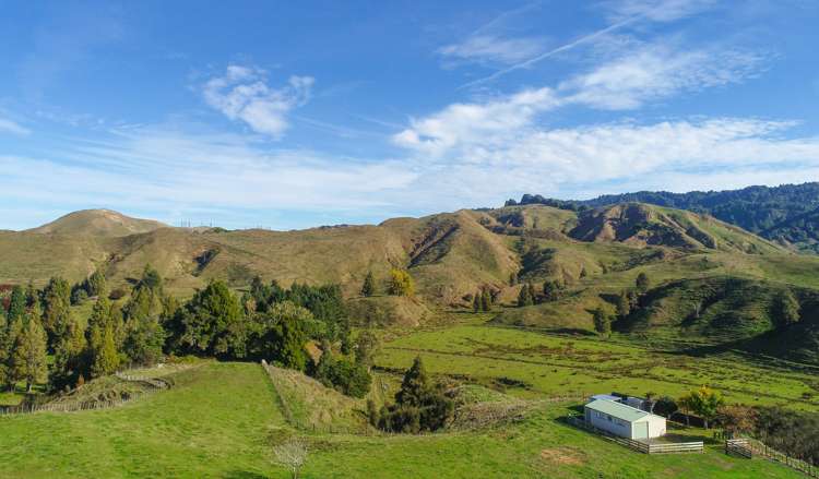 Hihi Street Ohura_11