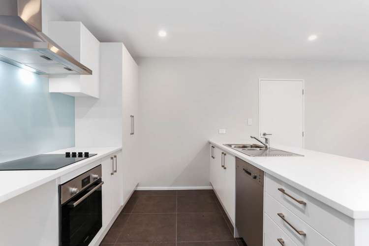 17 Orchard Street Avondale_5