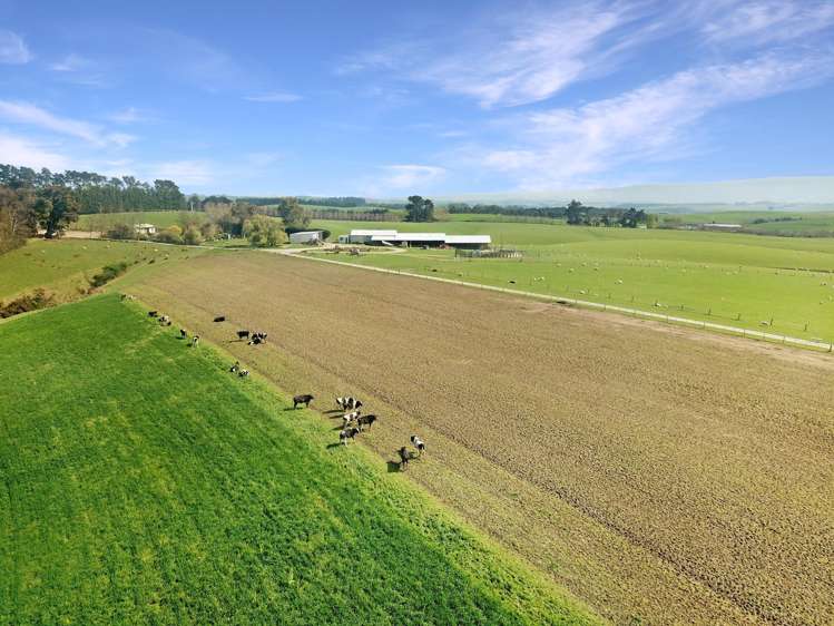 20 Carruthers Road Pomahaka_3