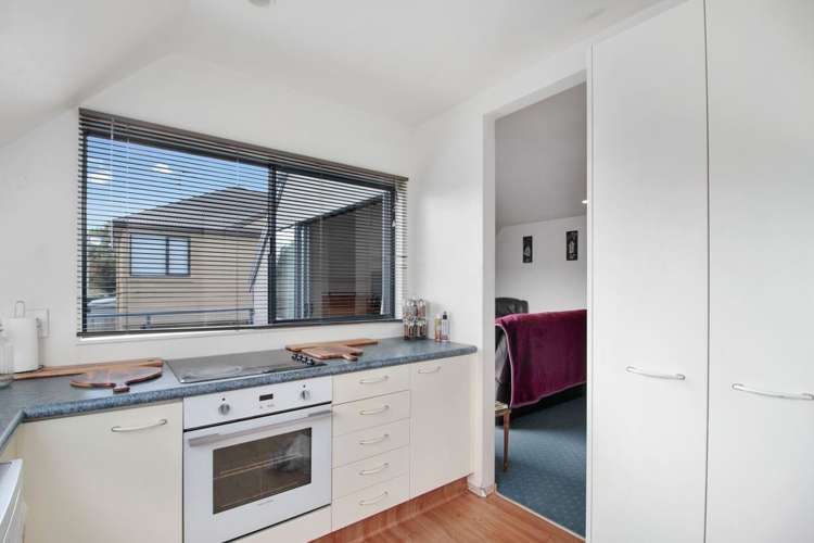 444b Tristram Street Whitiora_3