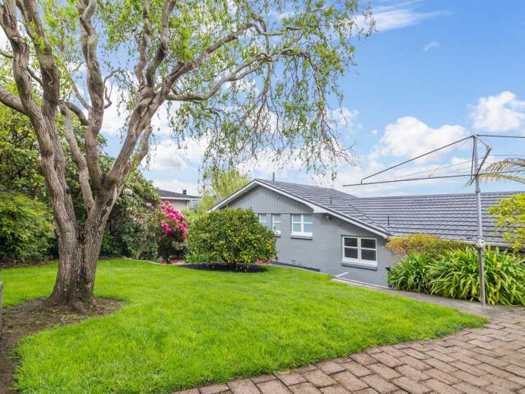 16 Sunnyview Drive Brown Owl_18