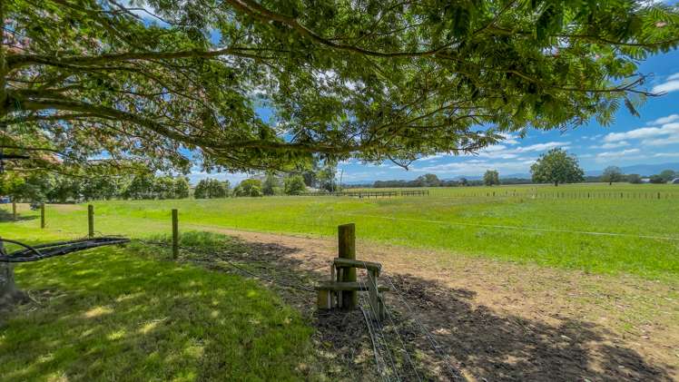 54 Pioneer Road Tahuna_16