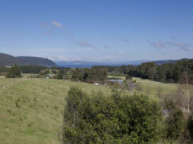 152 Hitiri Road Kinloch_1