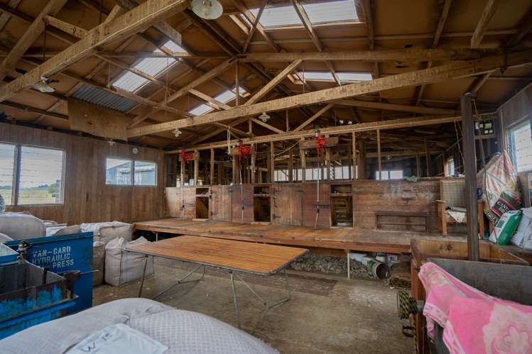 10 Mckinnon Road Gore Surrounds_2