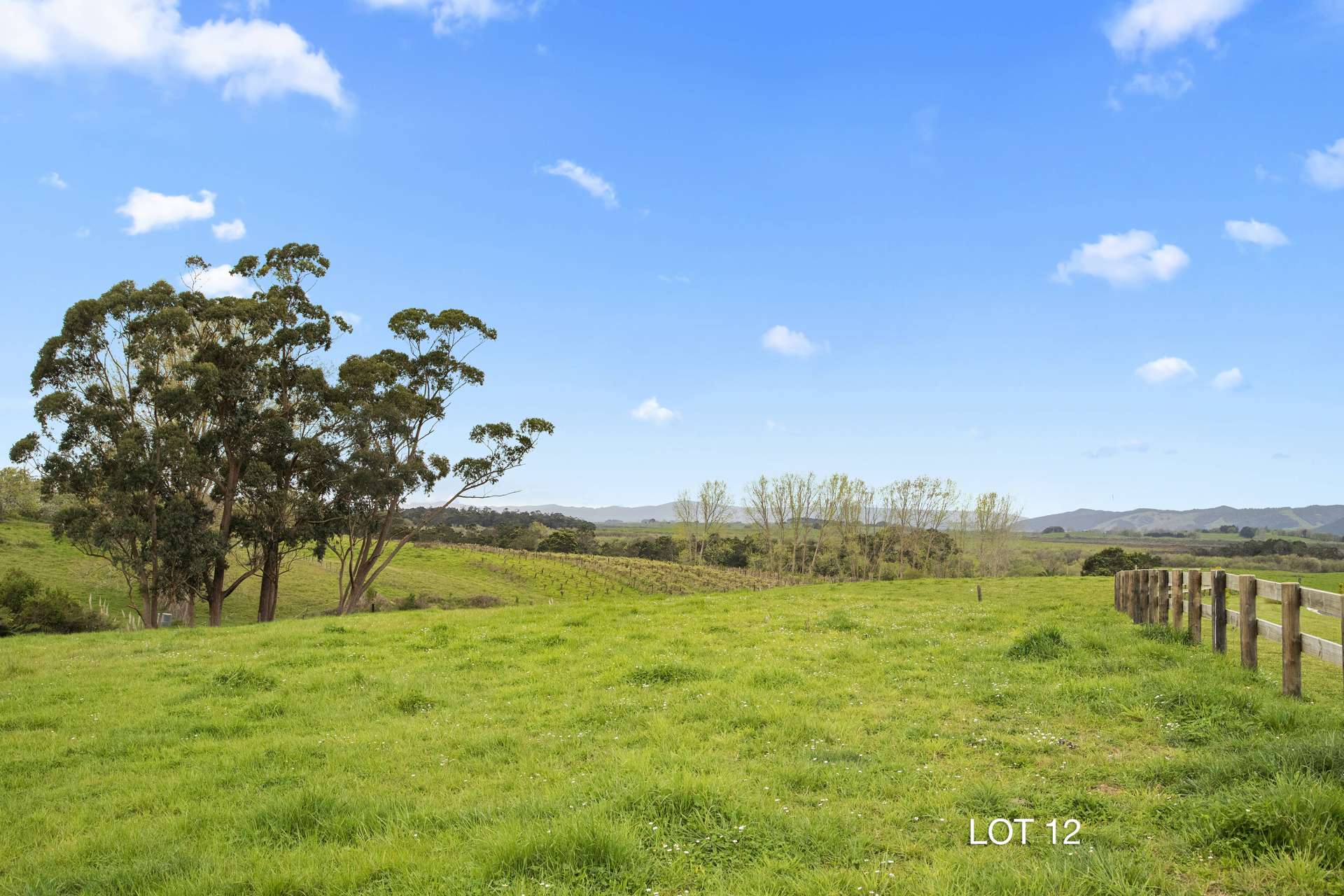 52 Moorfield Road Te Kauwhata_0