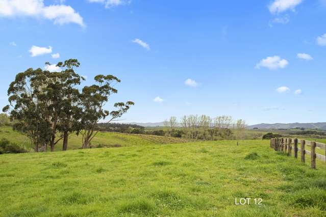 48 Moorfield Road Te Kauwhata_3