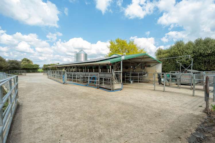 1001 Piako Road Gordonton_12