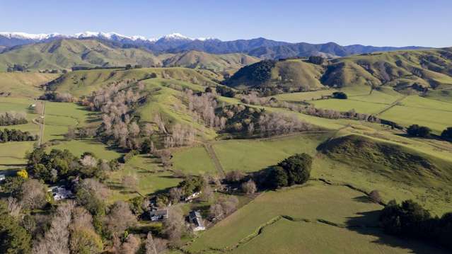 An Attractive Farm in a Premium Location