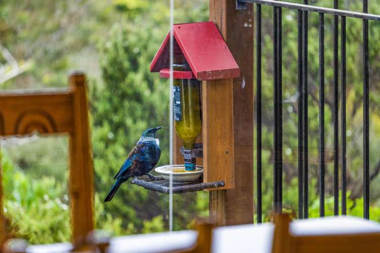 4 Clayden Drive Gulf Harbour_15