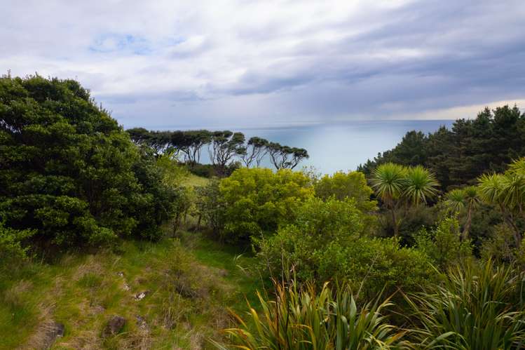 Whaanga Road Raglan_16