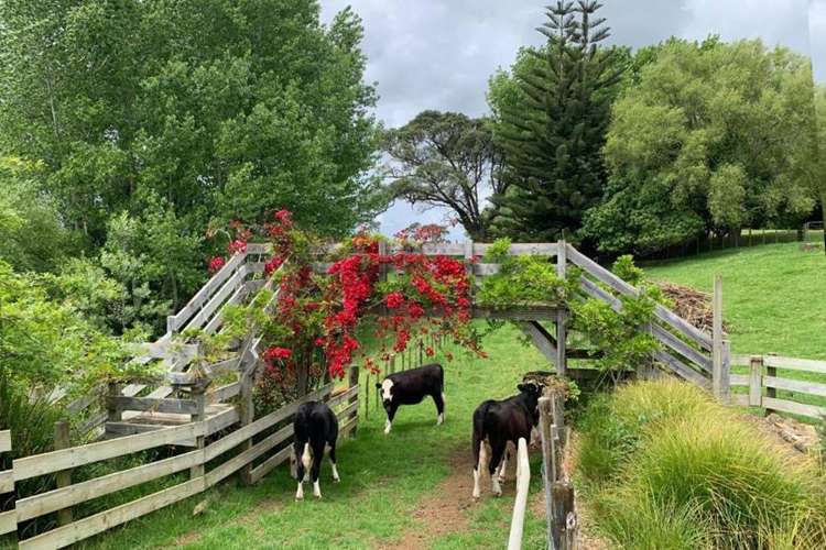 1124 Awhitu Road Waiuku_16