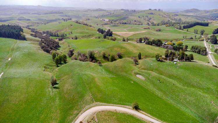 205 Ngawaka Road Flemington_19