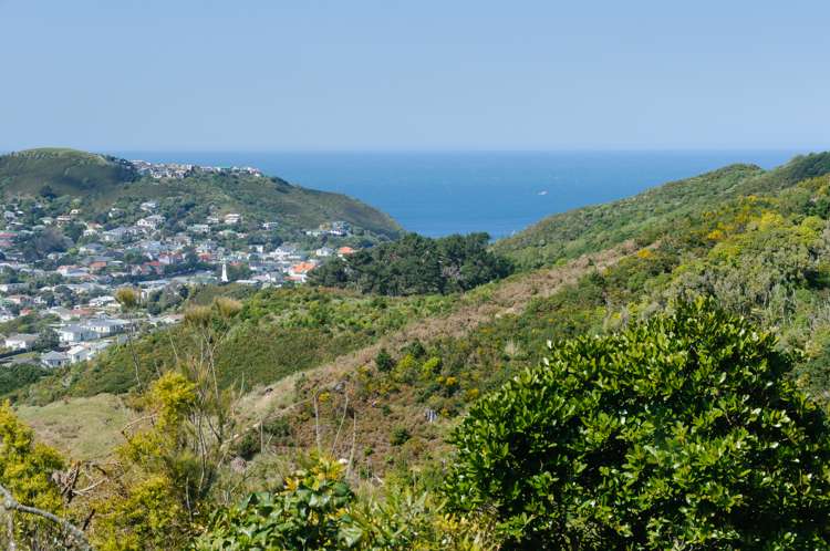 22 Halifax Street Kingston_15