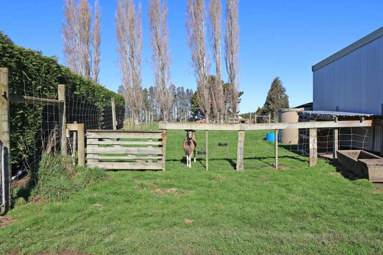 36 Mill Road North Mill Road_32