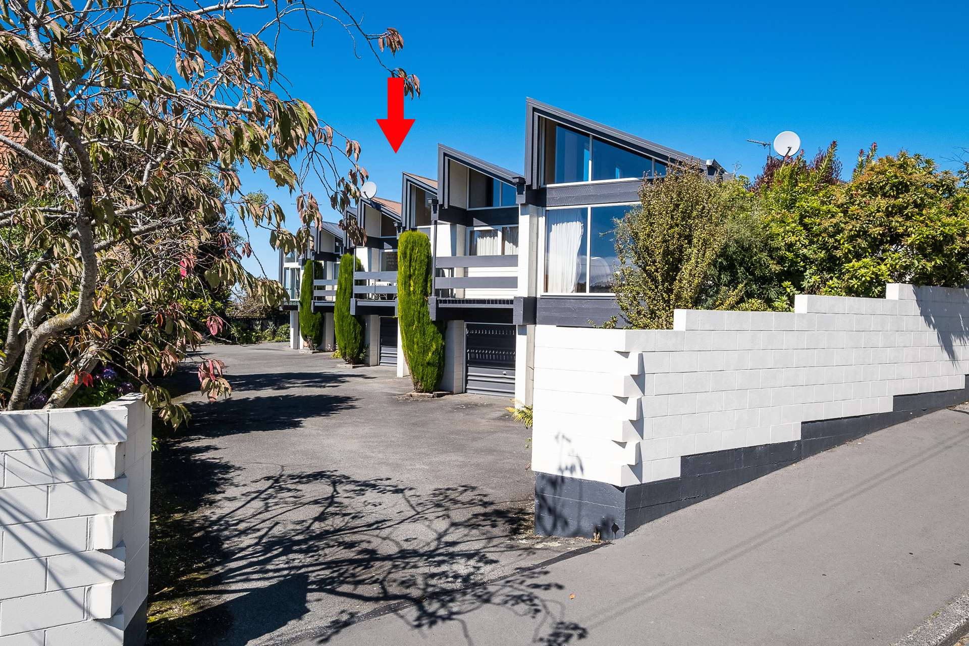 442b Highgate Maori Hill_0