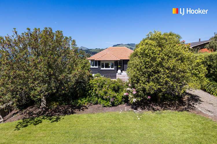 22 Takahe Terrace Saint Leonards_18