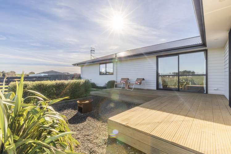 39 George Street Bulls_30