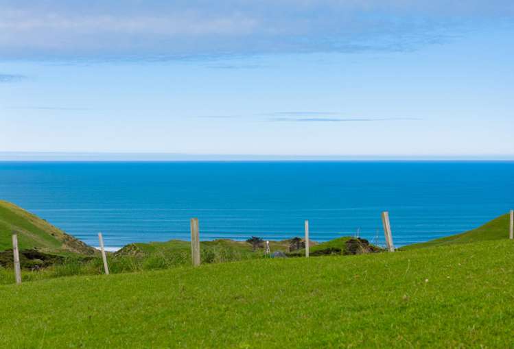 1597 Whaanga Road Raglan_8