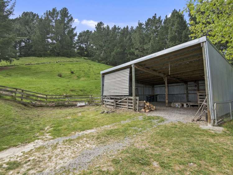 32 Pentre Terrace Cashmere_14