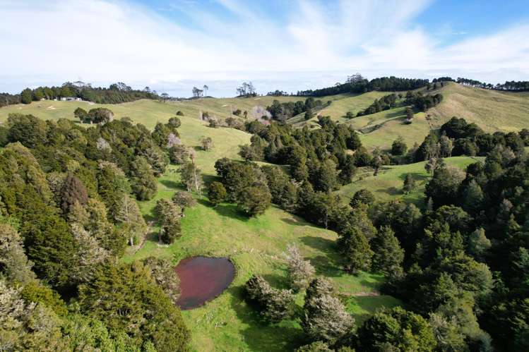440 Arcadia Road Maungaturoto_8
