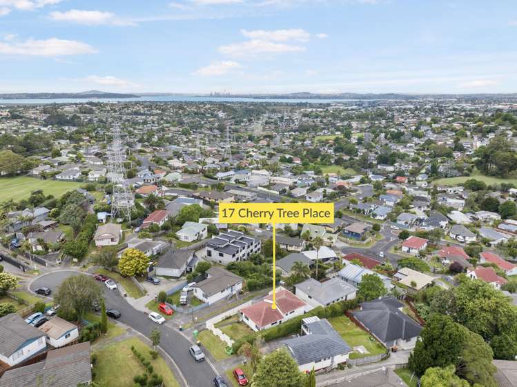 17 Cherry Tree Place Massey_11