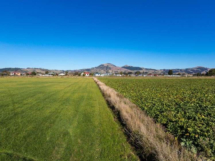 257 Gordon Road Mosgiel_3