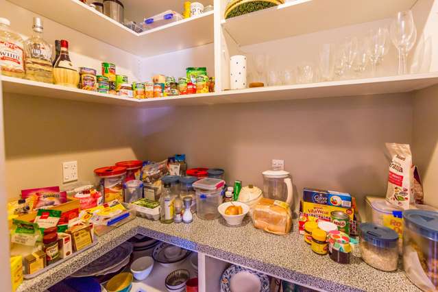 268 Southfield Drive Lincoln_4