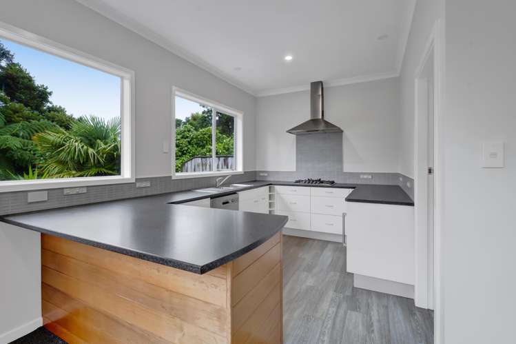 55 Mill Road Lower Vogeltown_5