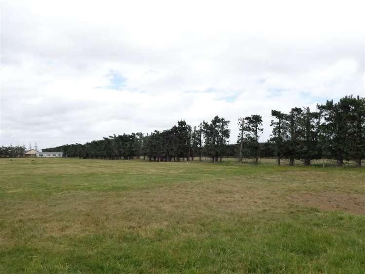 1245 Hoskyns Road Kirwee_20