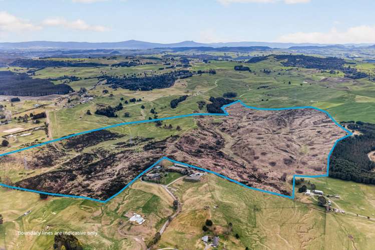1200 Poihipi Road Oruanui_8